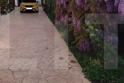 Casa de vanzare Dumbravita - 11