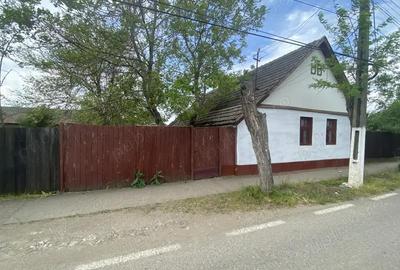 Casă cu 2 camere cu Teren 1339 Mp în Zimandu Nou - 4