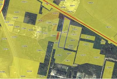 Teren de 19400 mp, în Est