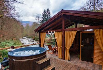 Cabana / Casa de vacanta pe Transfagarasan - Sibiu - 10