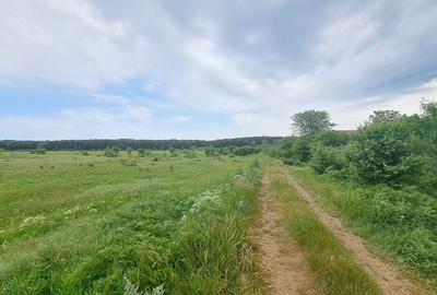 Teren intravilan 3656 mp - Padurea Andronache Teren intravilan 3656 mp - Padurea Andronache - 3