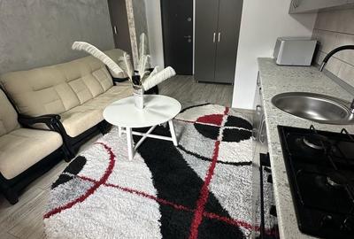 Garsonieră în Valea Moșneagului - 4