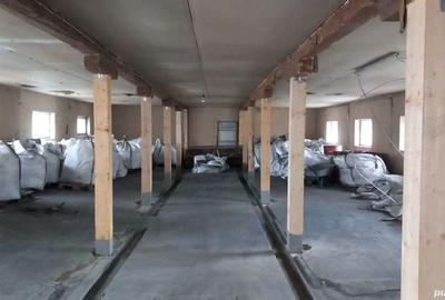 Vanzare hala, Budila - 2