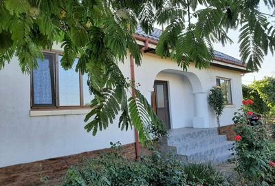 Casă individuală cu 3 camere cu Teren 2750 Mp în Poșta - 8