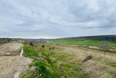 Teren Construcții de 750 mp, în Copou - 2