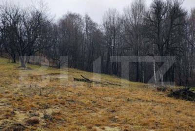 Oportunitate investitie teren intravilan Zarnesti - 3