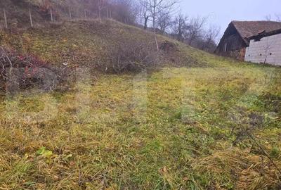 Teren intravilan,500 mp,perfect pentru casa de vacanta - 1