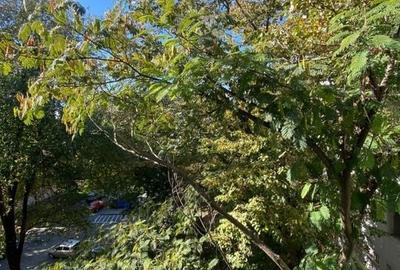 Giurgiu  ocazie- Aleea Alexandriei  ap 3 cam circular 4/4, - 19