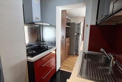 Apartament cu doua camere, mobilat, gradina, Baza 3, Silk, Carrefour, Tudor - 7