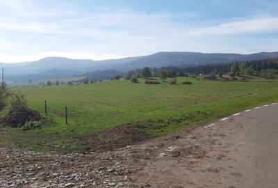 Teren extravilan de 9200 mp, în Băile Miercurea - 7