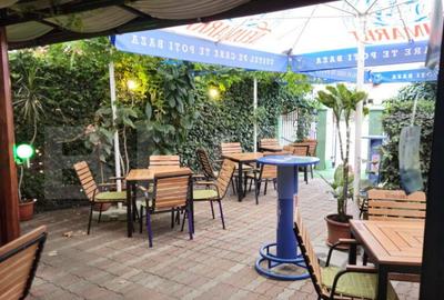 Spatiu comercial, 100 mp, terasa, Bld. Castanilor Spatiu comercial, 100 mp, terasa, Bld. Castanilor - 14