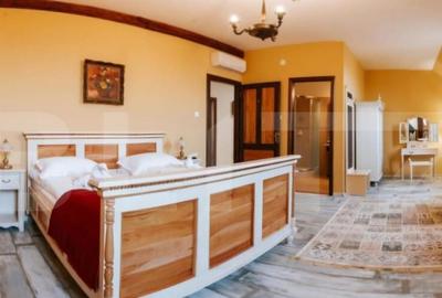 Conac de vanzare 7 camere cu bai proprii, crama, ciubar ? - 35