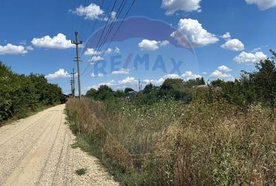 Teren intravilan 1.400mp Izvorani (IF), drum asfaltat, la 3 min de DN1 - 4