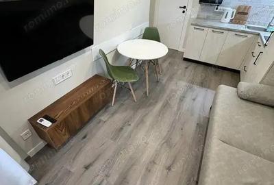 De inchiriat apartament cu o camera in zona Dambovita - 3