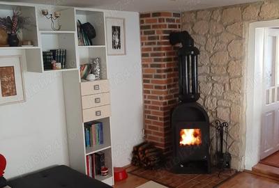 Casa de vanazare in Sandule?ti - 7