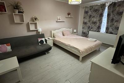 Garsonieră decomandată în Cetate - 5