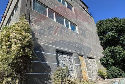 Inchiriere spa?iu industrial - 1