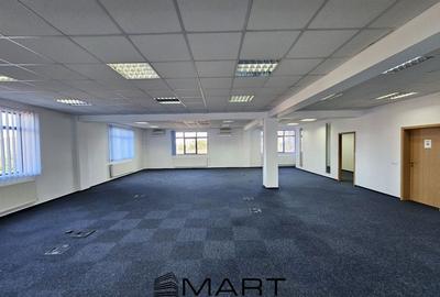 Spatiu comercial Calea Dumbravii - 2