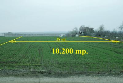 PARTICULAR, 10.200 mp. teren intravilan Moara Vlasiei, langa nodul A3 si Balta - 2