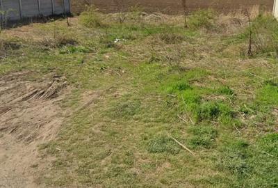 Teren de 500 mp, în Frumușani - 2