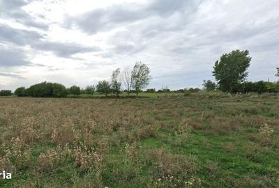 Spațiu comercial, în Roseți - 2