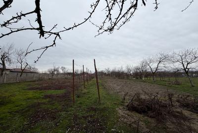 Casă cu 2 camere în Jebel - 5