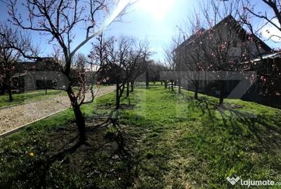 Teren de 5300 mp, în Voinești - 8
