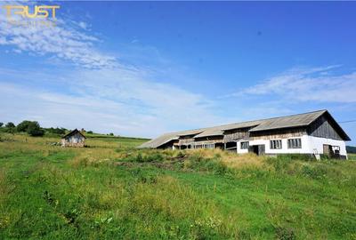 Teren agricol intravilan de 13725 mp, în Posmuș - 7