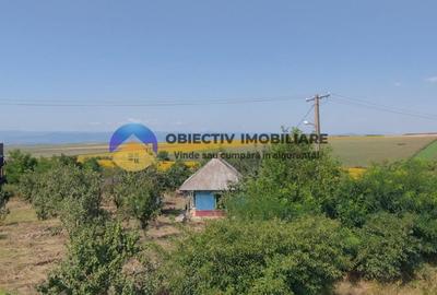 Teren de vanzare - Margineni 5920 mp