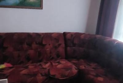 Apartament cu 3 camere decomandat în Vest - 8