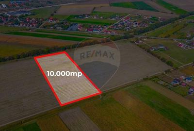 Teren 10,000mp Bod/Extravilan - 4