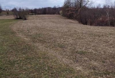 Teren de 4000 mp, în Șinca - 1