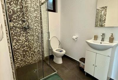 Casă cu 4 camere cu Teren 18000 Mp în Colibița - 4