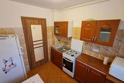 Apartament cu 2 camere decomandat în Ștrand - 7