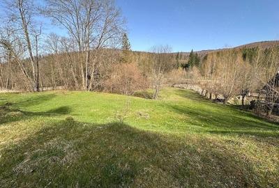 Teren de 6888 mp, în Putna - 3