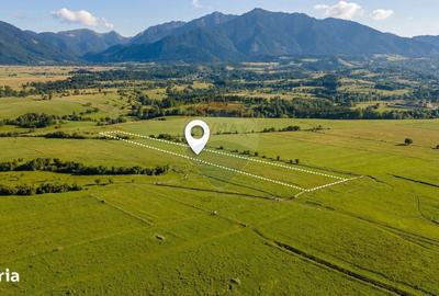 Spațiu comercial, în Tohanu Nou - 5