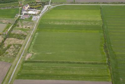 Teren extravilan de 22500mp Zona Ineu - 9