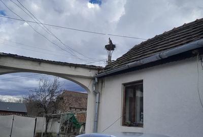 Casă cu 6 camere cu Teren 9000 Mp în Orăștioara de Jos - 3