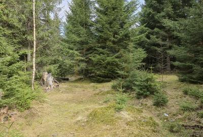 Terenuri cu PUZ, 700 - 1000+ mp, in Marisel, la 400 m de partia de Ski - 2