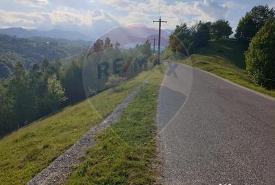 Teren de 2000 mp, în Peștera - 10