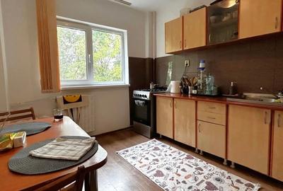 Apartament 3 camere de vânzare Lujerului - 10