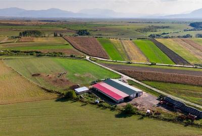 FILM! 18.000 mp,extravilan,agricol constructii, recomandat:f - 14