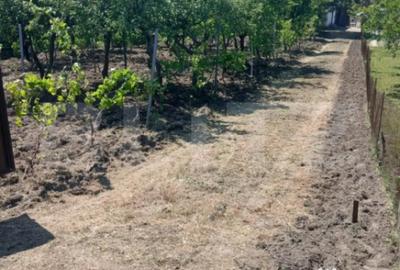 Casă cu 2 camere cu Teren 799 Mp în Central - 13