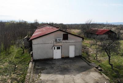 Moldova Noua, Proprietate cu Destinatie Multipla: Hala Productie Procesare a Carnii, Teren Intravila - 2