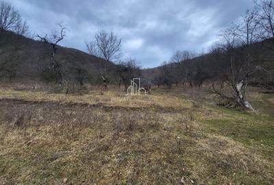 Teren intravilan de 10000 mp, în Periferie - 6