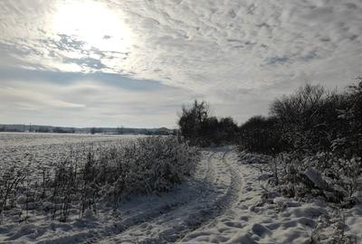 Teren de 4400 mp, în Bolintin-Deal - 1