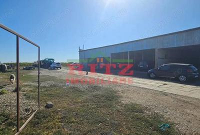 OFERTA!!! FERMA POMI FRUCTIFERI,VITA DE VIE,TEREN ARABIL SI HALA, FARCASELE 56.800 MP !!! - 2