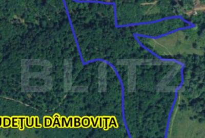 Teren extravilan, 16 ha cu padure ?i vedere panoramica ?? - 4