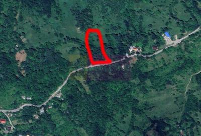Teren agricol intravilan de 3092 mp, în Telega - 13