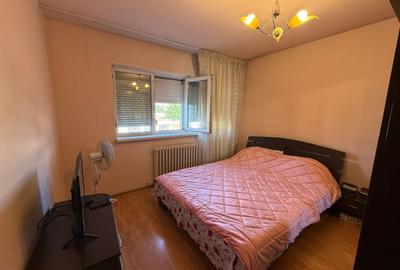 Apartament 2 camere decomandat, 57 mp, Lapus Arges, Zona Metal Lemn - 3